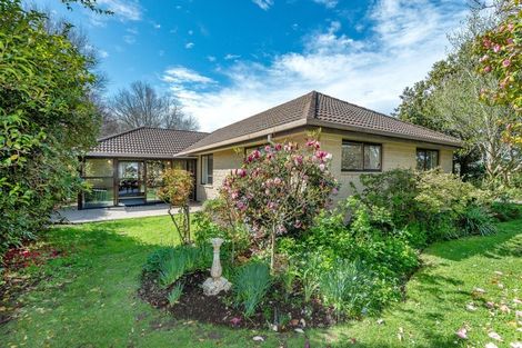 Photo of property in 11 Elvira Court, Bishopdale, Christchurch, 8053
