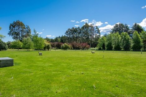 Photo of property in 409 Northbank Road, Kaituna, Blenheim, 7275