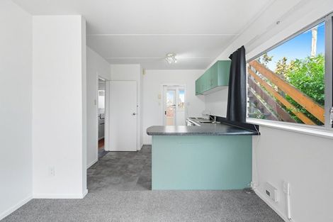 Photo of property in 1/41 Hastings Street West, Sydenham, Christchurch, 8023