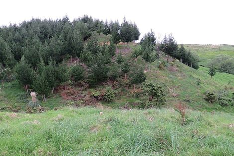 Photo of property in 289 Franklin Road, Paparoa, 0571