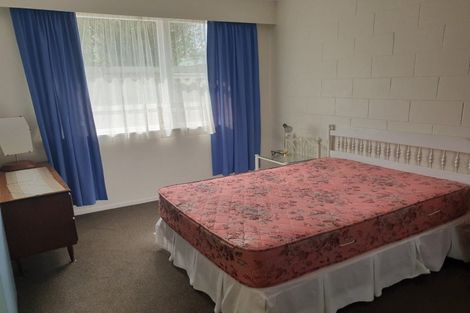 Photo of property in 29 Ranfurly Street, Hokowhitu, Palmerston North, 4410