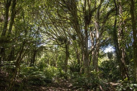 Photo of property in 425b Lund Road, Aongatete, Katikati, 3178