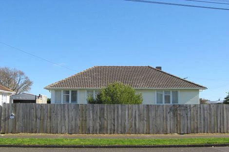 Photo of property in 17 Maire Street, Levin, 5510