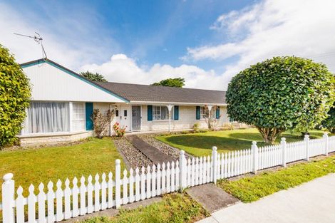 Photo of property in 144 Winchester Street, Ashhurst, 4810