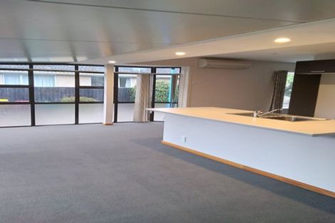 Photo of property in 17 Kinnaird Place, Hillmorton, Christchurch, 8025