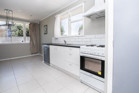 Photo of property in 41 Yvonne Street, Melville, Hamilton, 3206