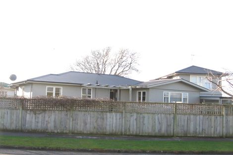Photo of property in 12 Windsor Street, Terrace End, Palmerston North, 4410