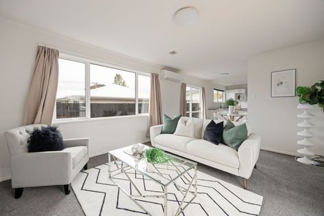 Photo of property in 18a Patrick Place, Fitzroy, Hamilton, 3206