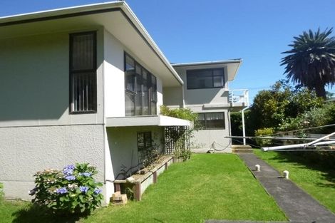 Photo of property in 49 Ames Street, Paekakariki, 5034