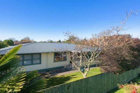 Photo of property in 6 Agincourt Street, Renwick, 7204