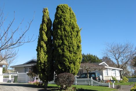 Photo of property in 7 Padfield Place, Havelock North, 4130