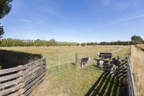 Photo of property in 151 Burgesses Road, Clarkville, Kaiapoi, 7692