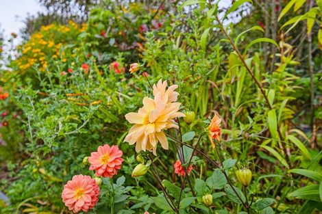 Photo of property in 63 Waipunahau Road, Waikanae, 5036