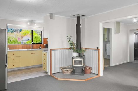 Photo of property in 40 Lyndon Street, Waiau, 7332