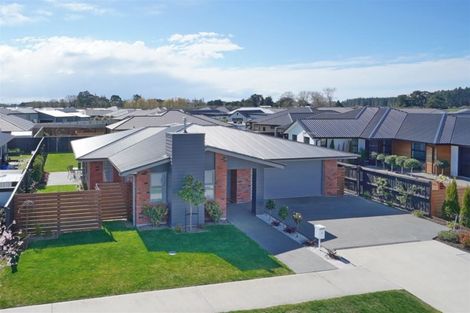 Photo of property in 16 Lilian Street, Kaiapoi, 7630