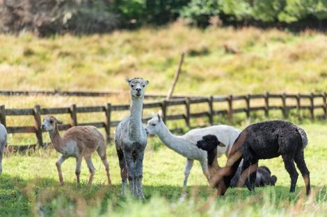 Photo of property in 224b Bawden Road, Dairy Flat, Albany, 0792