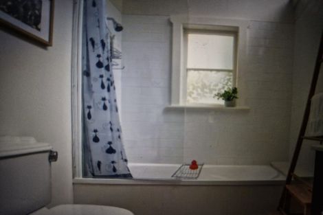 Photo of property in 113 Holloway Road, Aro Valley, Wellington, 6021