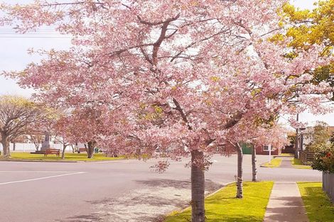 Photo of property in 53 Humber Street, Rongotea, 4476