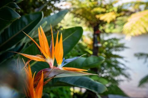 Photo of property in 3 Mcgregor Place, Paraparaumu, 5032