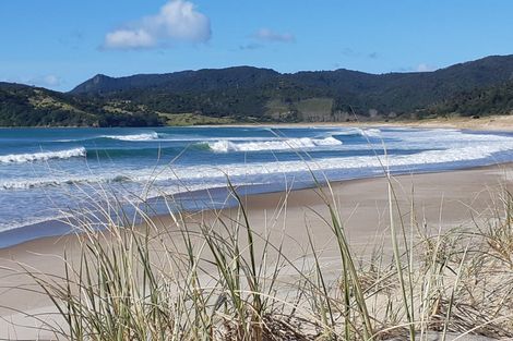 Photo of property in 323c Waikawau Beach Road, Waikawau, Coromandel, 3584