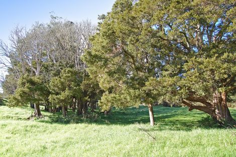 Photo of property in 36 Tawa Avenue, Kaiwaka, 0573