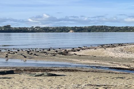 Photo of property in 13 Boathouse Bay Lane, Snells Beach, 0920