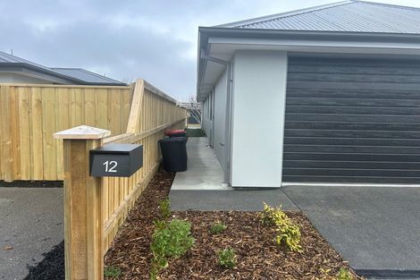 Photo of property in 12 Edlin Lane, Pegasus, 7612