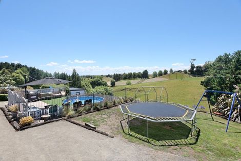 Photo of property in 270 Halcombe Road, Feilding, 4775