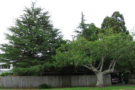 Photo of property in 50b Seaview Terrace, Mount Albert, Auckland, 1025