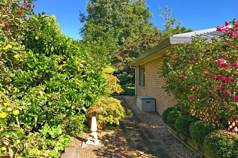 Photo of property in 29 Aloma Way, Glenview, Hamilton, 3206