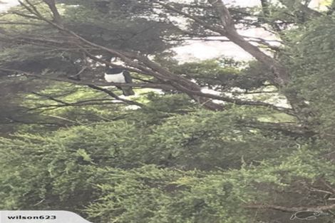 Photo of property in 202 Wade River Road, Wade Heads, Whangaparaoa, 0932