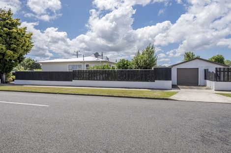 Photo of property in 182 Tiro Tiro Road, Levin, 5510