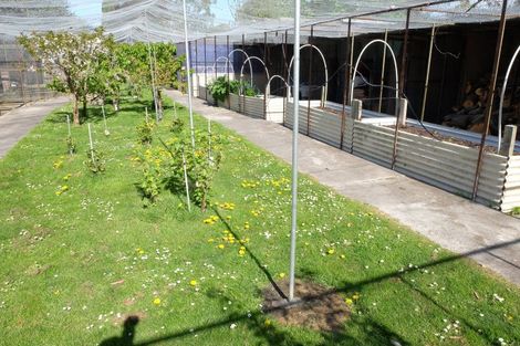 Photo of property in 245 Pukeuri-oamaru Road, Pukeuri, Oamaru, 9493