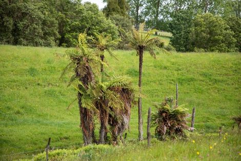 Photo of property in 404 Waitawheta Road, Waihi, 3682