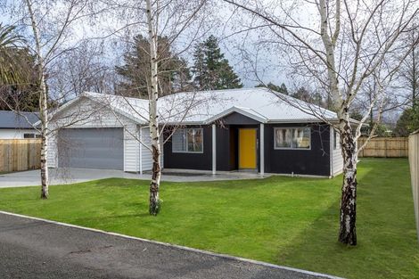 Photo of property in 49b Costley Street, Carterton, 5713