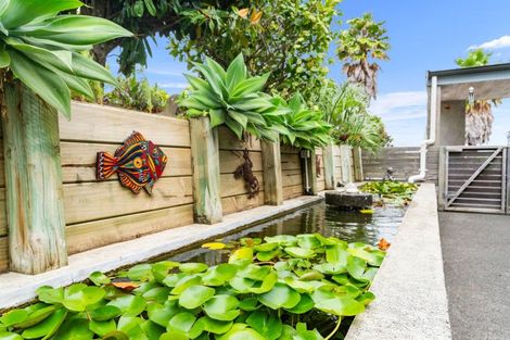 Photo of property in 50 Atkin Road, Mangawhai, Kaiwaka, 0573