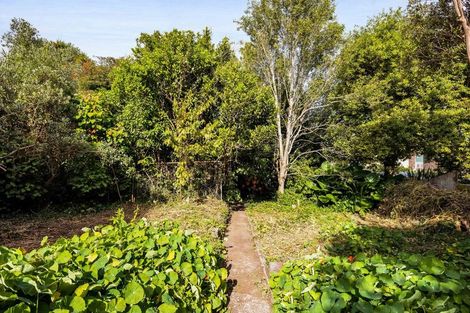 Photo of property in 53 Dorset Avenue, Westown, New Plymouth, 4310