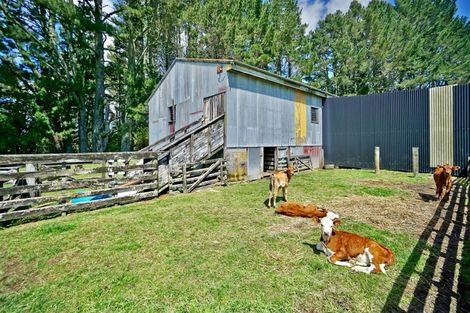 Photo of property in 1717 Te Matai Road, Te Ranga, Te Puke, 3188