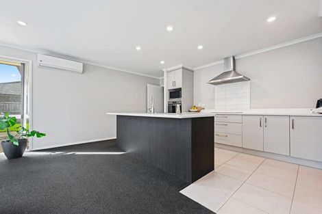 Photo of property in 245 Dixon Road, Fitzroy, Hamilton, 3206