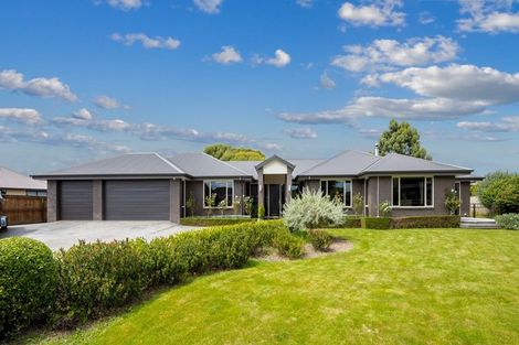 Photo of property in 25d Bary Street, Springlands, Blenheim, 7201