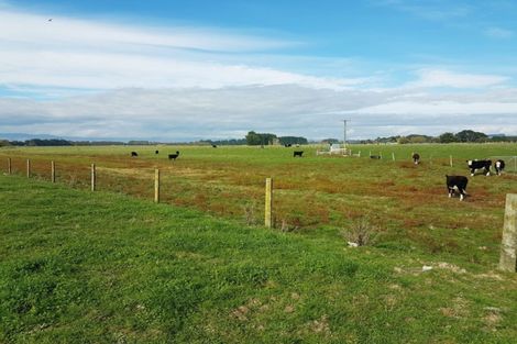 Photo of property in 221 Troup Road, Woodville, 4999