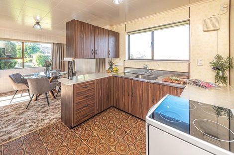 Photo of property in 19 Lindsey Crescent, Springvale, Whanganui, 4501