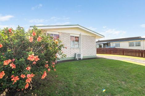 Photo of property in 17b Treadwell Street, Springvale, Whanganui, 4501