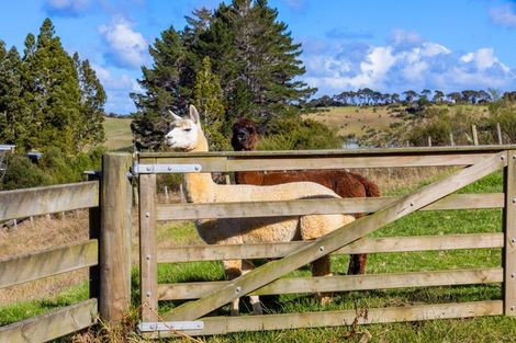 Photo of property in 108 Tender Road, Dairy Flat, Albany, 0794