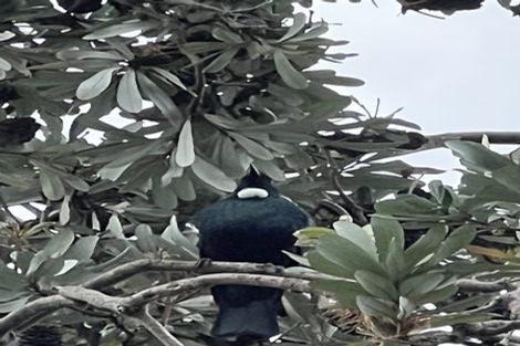 Photo of property in 29 Gillies Crescent, Waimarama, Havelock North, 4294