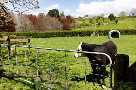 Photo of property in 2291 Maungatautari Road, Maungatautari, Cambridge, 3494