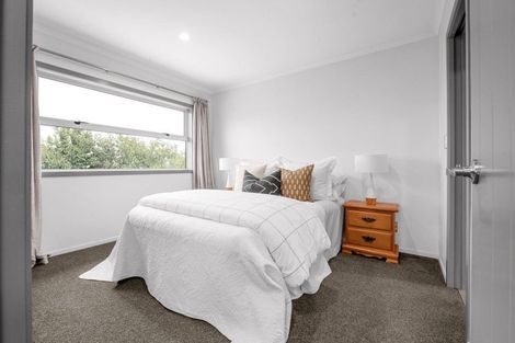 Photo of property in 53 Herbert Road, Queenwood, Hamilton, 3210