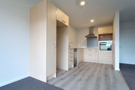 Photo of property in 19a Vogel Street, Richmond, Christchurch, 8013