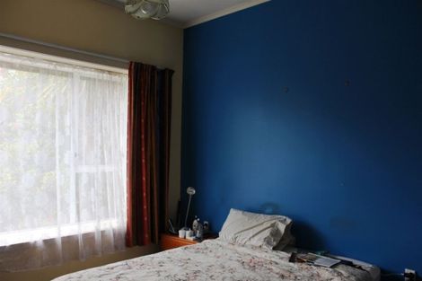 Photo of property in 213 Union Street, Milton, 9220