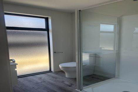 Photo of property in 41 Fairmaid Street, Lincoln, 7608